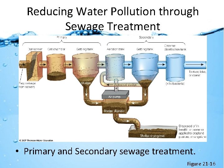 Reducing Water Pollution through Sewage Treatment • Primary and Secondary sewage treatment. Figure 21