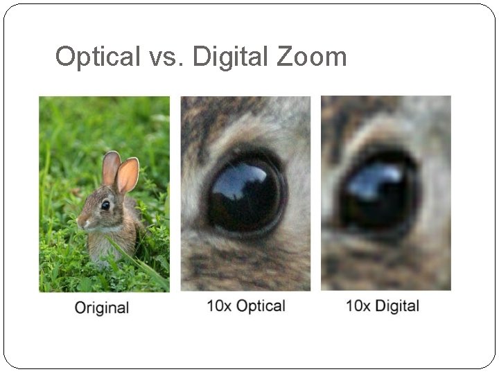 Optical vs. Digital Zoom 