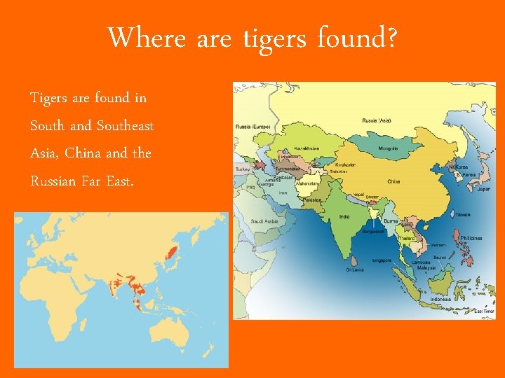 Where are tigers found? Tigers are found in South and Southeast Asia, China and