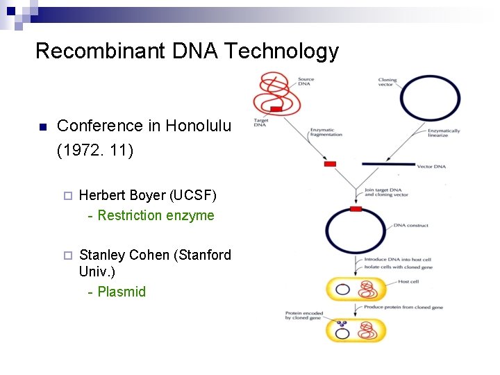 Recombinant DNA Technology n Conference in Honolulu (1972. 11) ¨ Herbert Boyer (UCSF) -