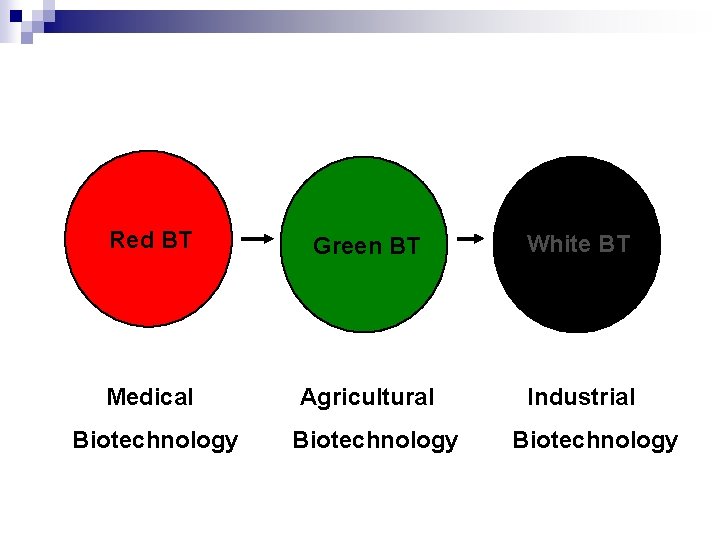 Red BT Green BT White BT Medical Agricultural Industrial Biotechnology 