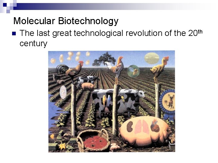 Molecular Biotechnology n The last great technological revolution of the 20 th century 