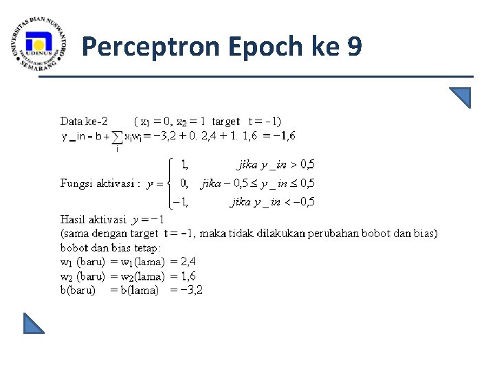 Perceptron Epoch ke 9 