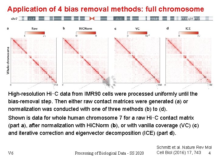 Application of 4 bias removal methods: full chromosome High-resolution Hi‑C data from IMR 90