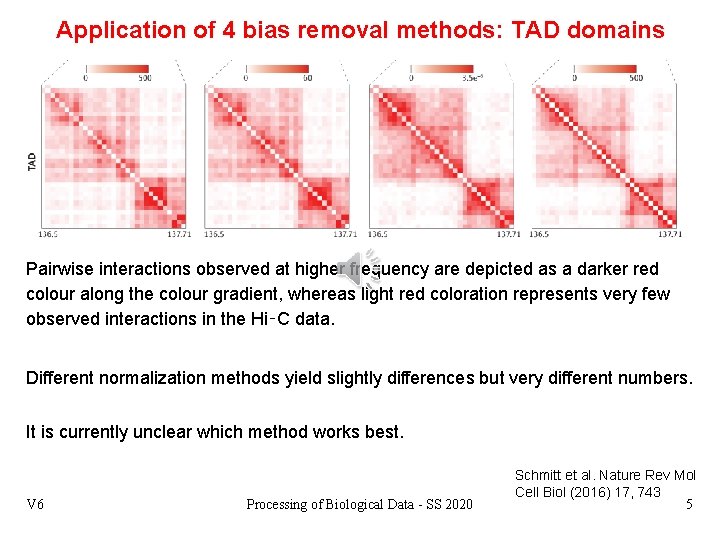 Application of 4 bias removal methods: TAD domains Pairwise interactions observed at higher frequency