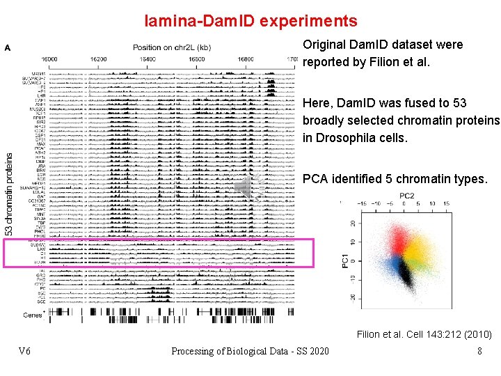 lamina-Dam. ID experiments Original Dam. ID dataset were reported by Filion et al. Here,