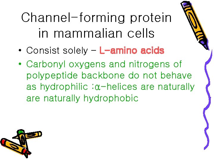 Channel-forming protein in mammalian cells • Consist solely – L-amino acids • Carbonyl oxygens