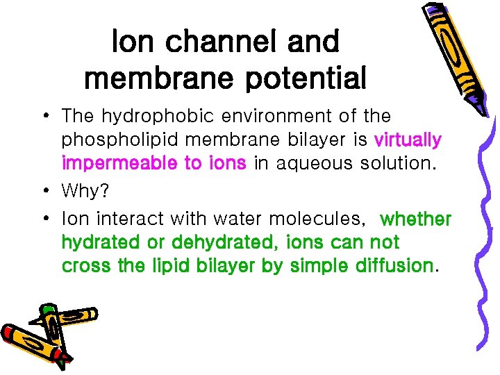 Ion channel and membrane potential • The hydrophobic environment of the phospholipid membrane bilayer