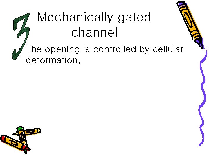 Mechanically gated channel • The opening is controlled by cellular deformation. 
