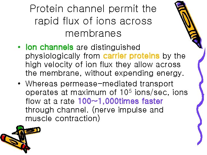 Protein channel permit the rapid flux of ions across membranes • Ion channels are