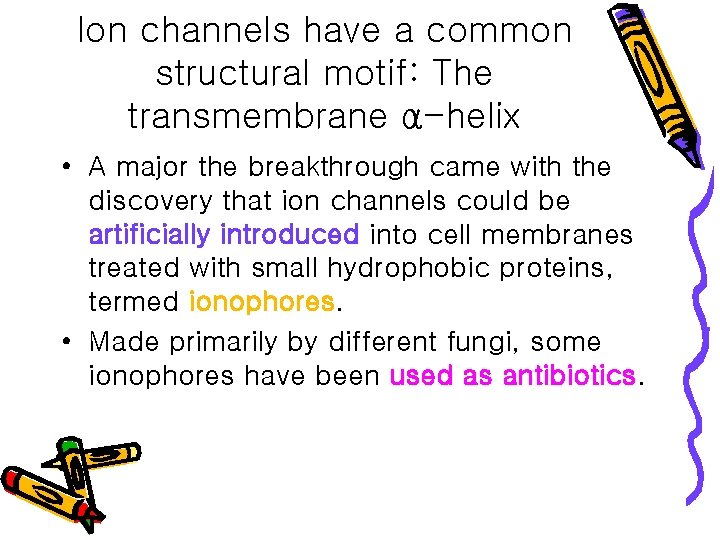 Ion channels have a common structural motif: The transmembrane α-helix • A major the