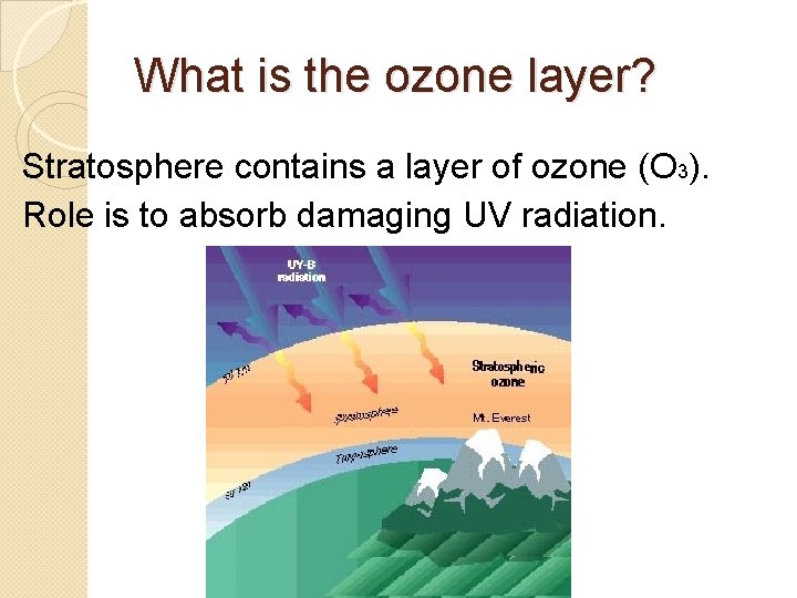 What is the ozone layer? Stratosphere contains a layer of ozone (O 3). Role