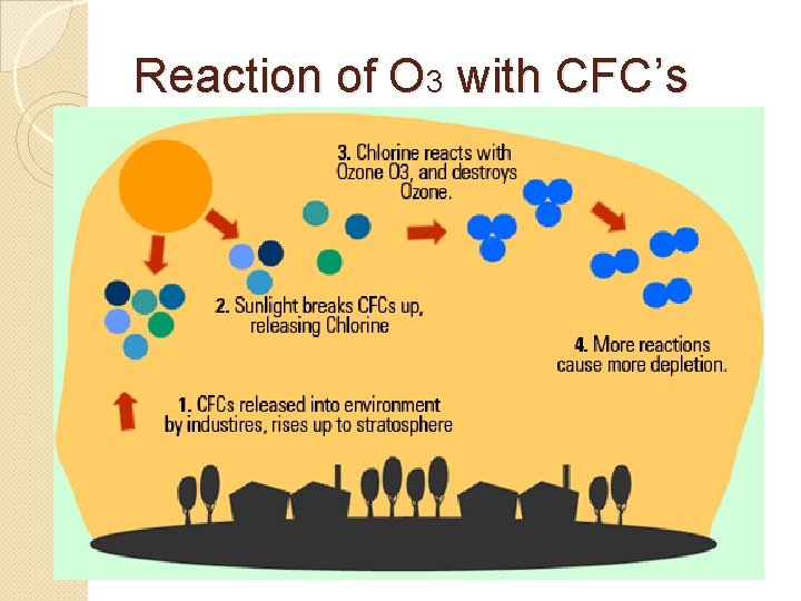 Reaction of O 3 with CFC’s 