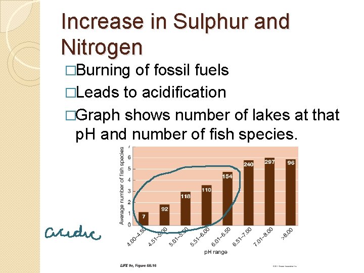 Increase in Sulphur and Nitrogen �Burning of fossil fuels �Leads to acidification �Graph shows