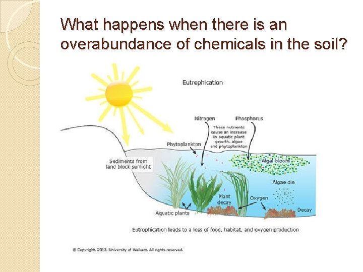 What happens when there is an overabundance of chemicals in the soil? 