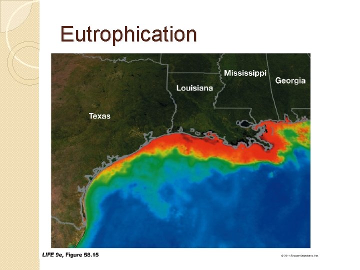 Eutrophication 