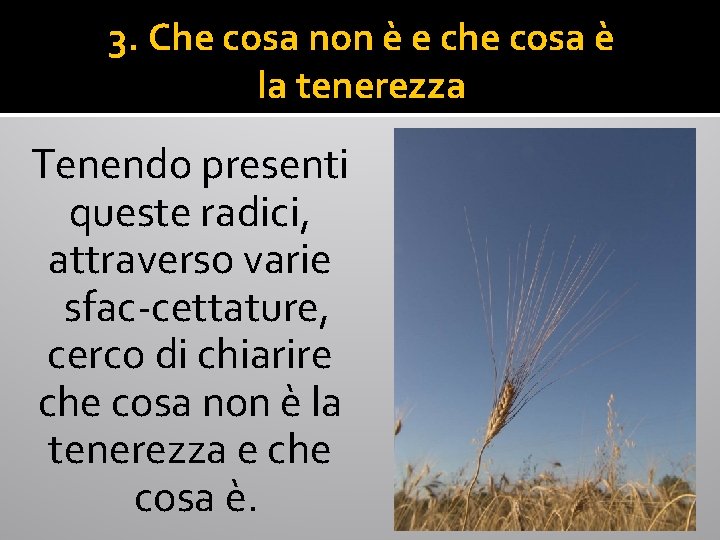 3. Che cosa non è e che cosa è la tenerezza Tenendo presenti queste