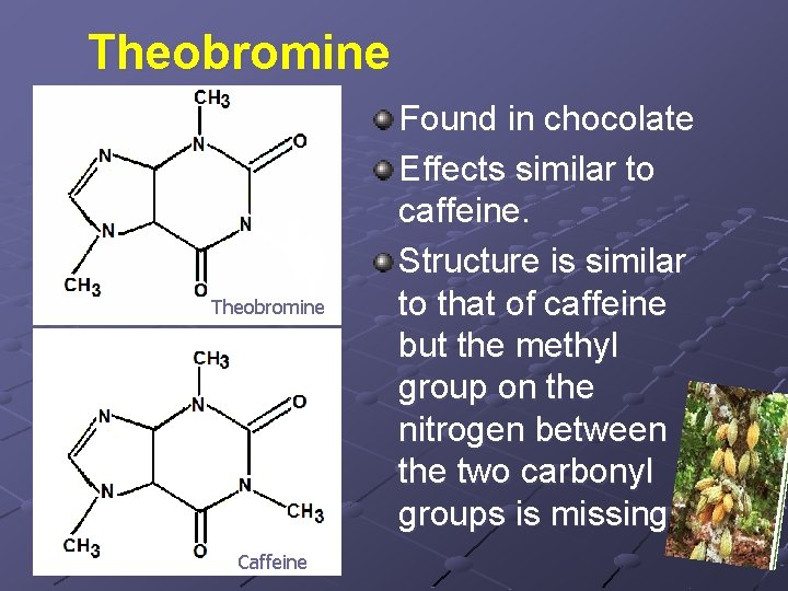 Theobromine Caffeine Found in chocolate Effects similar to caffeine. Structure is similar to that
