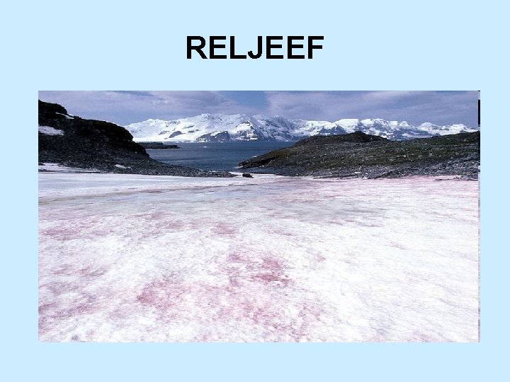 RELJEEF 