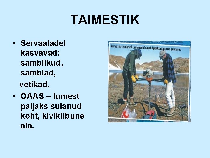 TAIMESTIK • Servaaladel kasvavad: samblikud, samblad, vetikad. • OAAS – lumest paljaks sulanud koht,