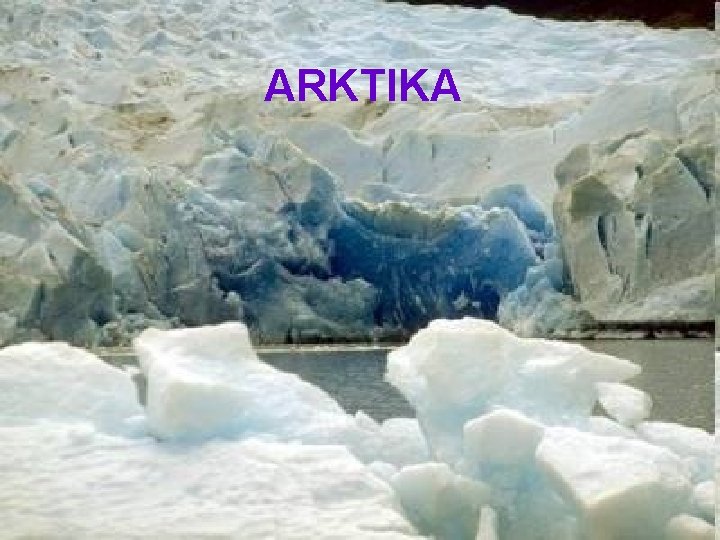 ARKTIKA 