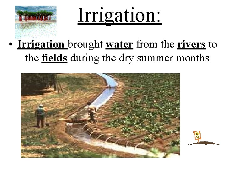 Irrigation: • Irrigation brought water from the rivers to the fields during the dry