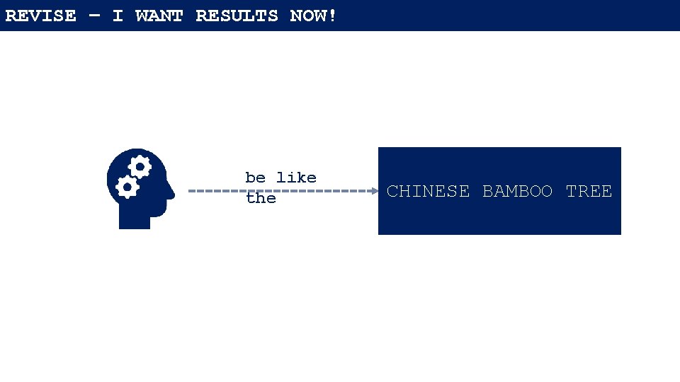 REVISE – I WANT RESULTS NOW! be like the CHINESE BAMBOO TREE 
