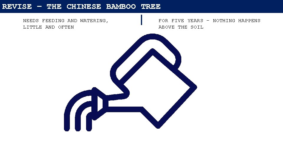 REVISE – THE CHINESE BAMBOO TREE NEEDS FEEDING AND WATERING, LITTLE AND OFTEN FOR