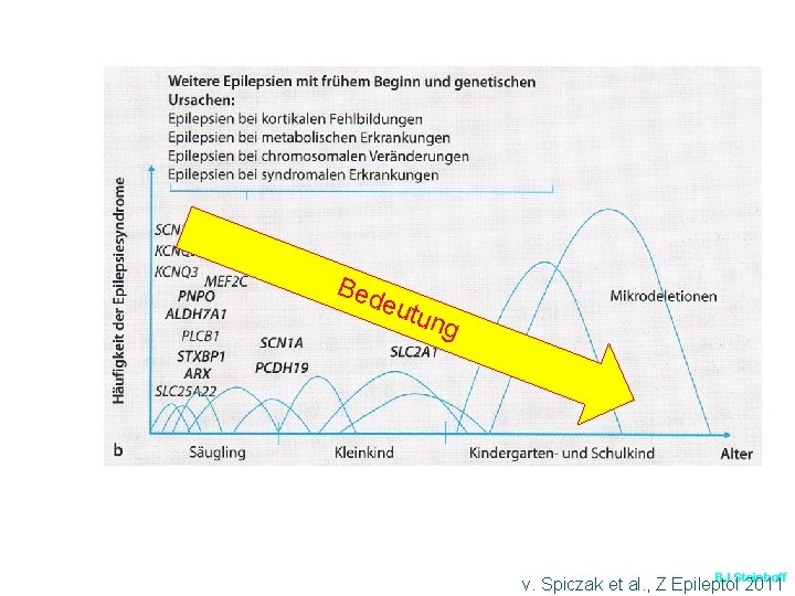 Bed eutu ng BJ Steinhoff v. Spiczak et al. , Z Epileptol 2011 