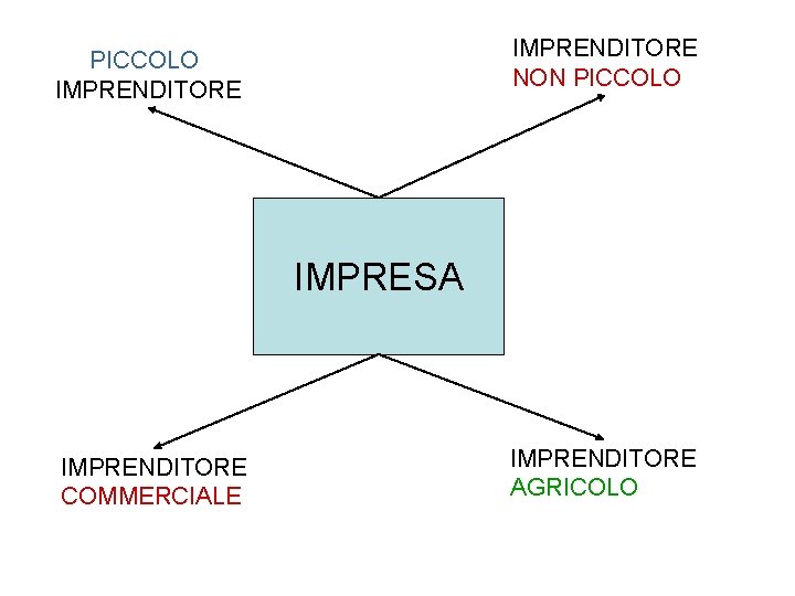 IMPRENDITORE NON PICCOLO IMPRENDITORE IMPRESA IMPRENDITORE COMMERCIALE IMPRENDITORE AGRICOLO 