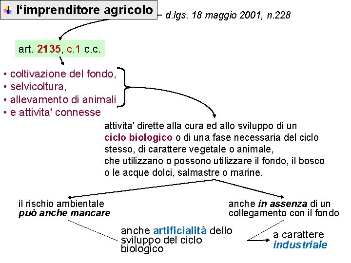 l‘imprenditore agricolo d. lgs. 18 maggio 2001, n. 228 art. 2135, c. 1 c.