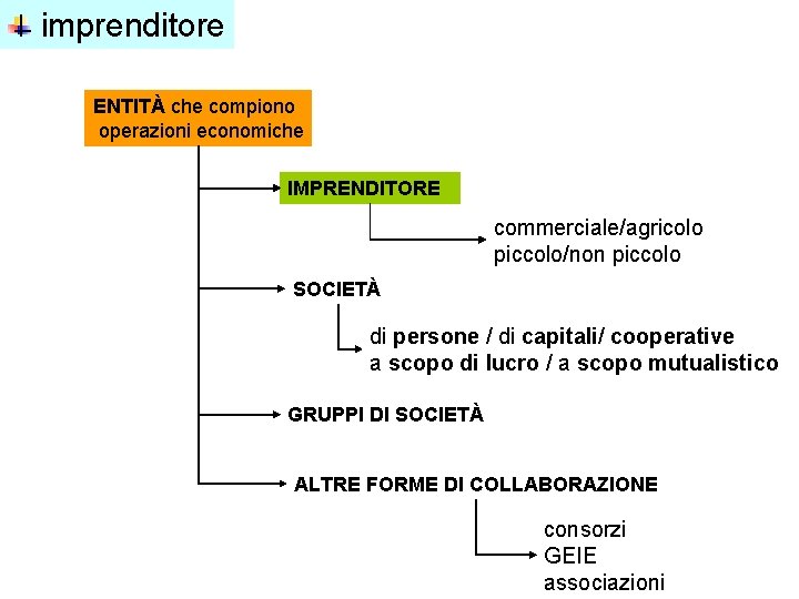 imprenditore ENTITÀ che compiono operazioni economiche IMPRENDITORE commerciale/agricolo piccolo/non piccolo SOCIETÀ di persone /