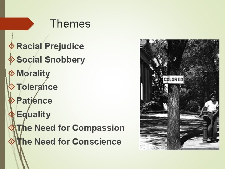 Themes Racial Prejudice Social Snobbery Morality Tolerance Patience Equality The Need for Compassion The