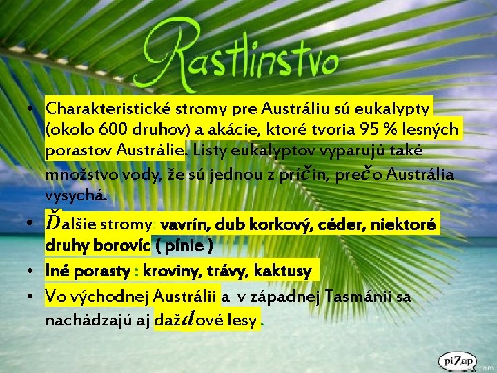  • Charakteristické stromy pre Austráliu sú eukalypty (okolo 600 druhov) a akácie, ktoré