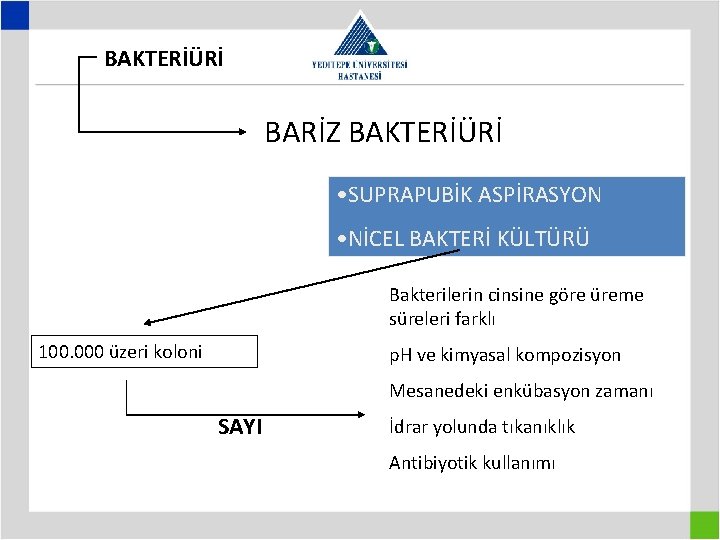 BAKTERİÜRİ BARİZ BAKTERİÜRİ • SUPRAPUBİK ASPİRASYON • NİCEL BAKTERİ KÜLTÜRÜ Bakterilerin cinsine göre üreme