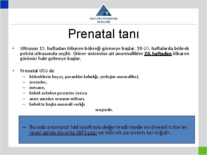 Prenatal tanı • Ultrason 15. haftadan itibaren böbreği görmeye başlar. 18 -20. haftalarda böbrek