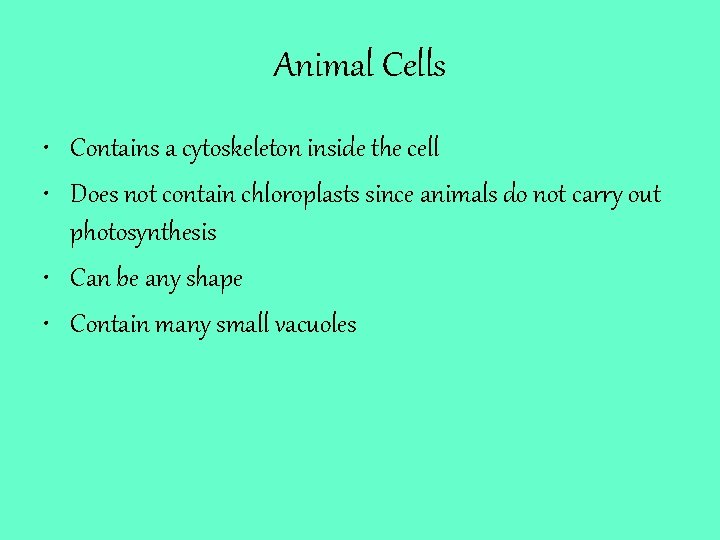 Animal Cells • Contains a cytoskeleton inside the cell • Does not contain chloroplasts