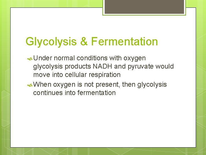 Glycolysis & Fermentation Under normal conditions with oxygen glycolysis products NADH and pyruvate would