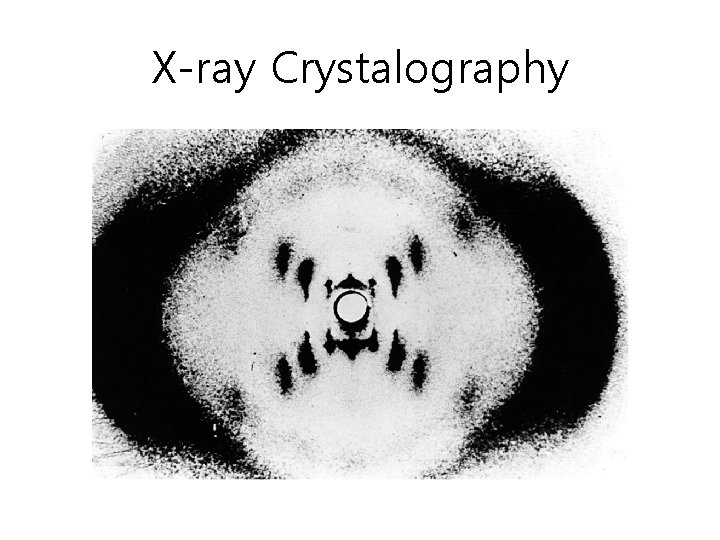 X-ray Crystalography 