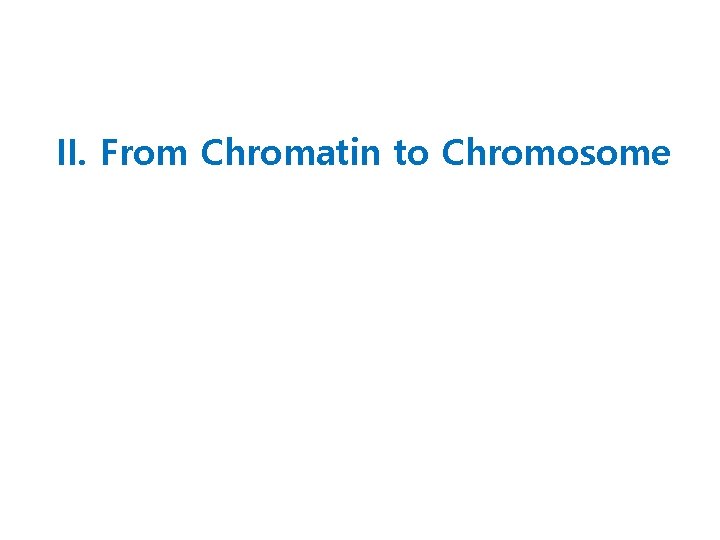 II. From Chromatin to Chromosome 