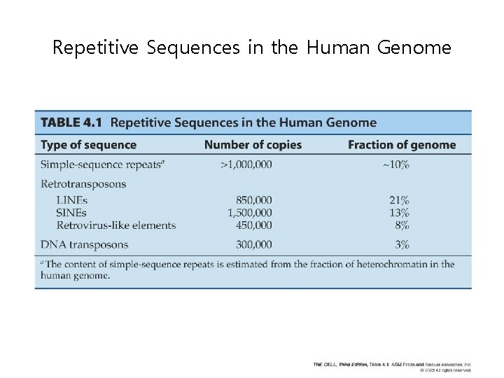 Repetitive Sequences in the Human Genome 