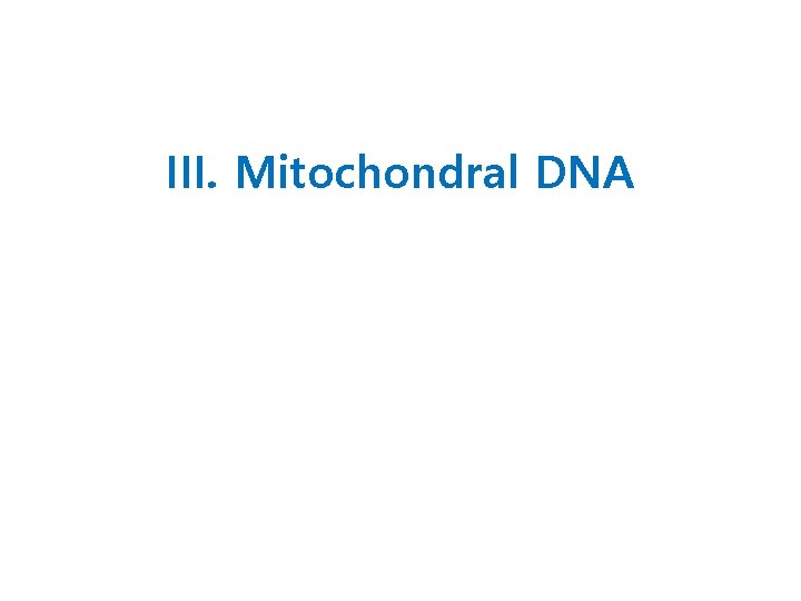 III. Mitochondral DNA 