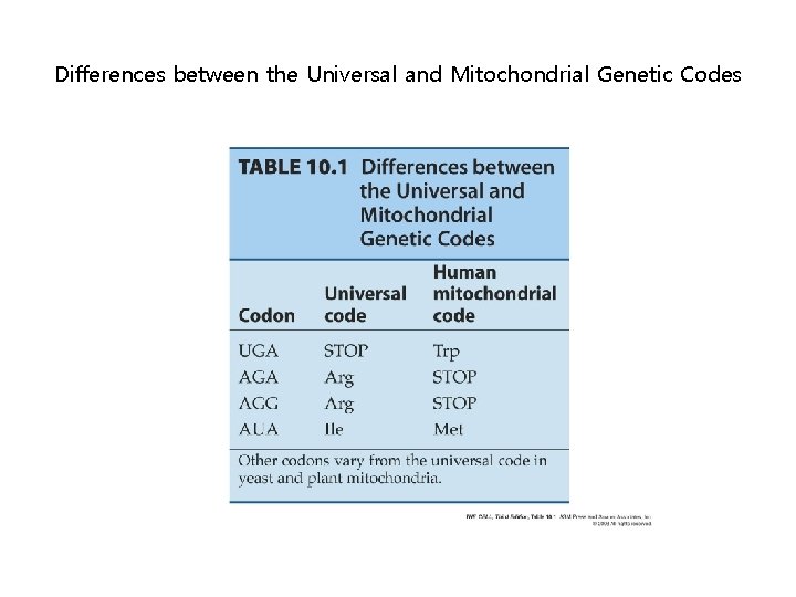 Differences between the Universal and Mitochondrial Genetic Codes 