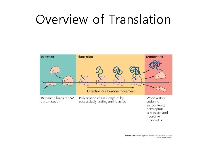 Overview of Translation 