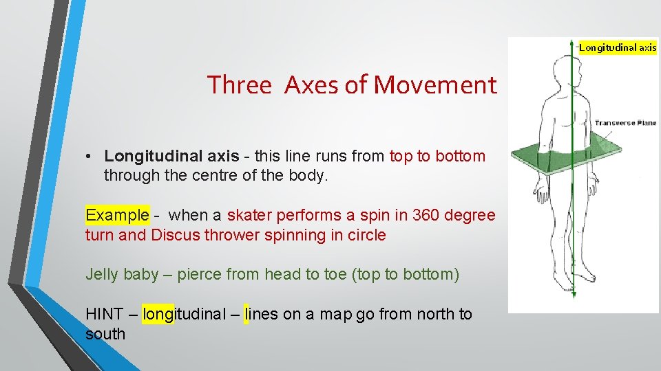 Longitudinal axis Three Axes of Movement • Longitudinal axis - this line runs from