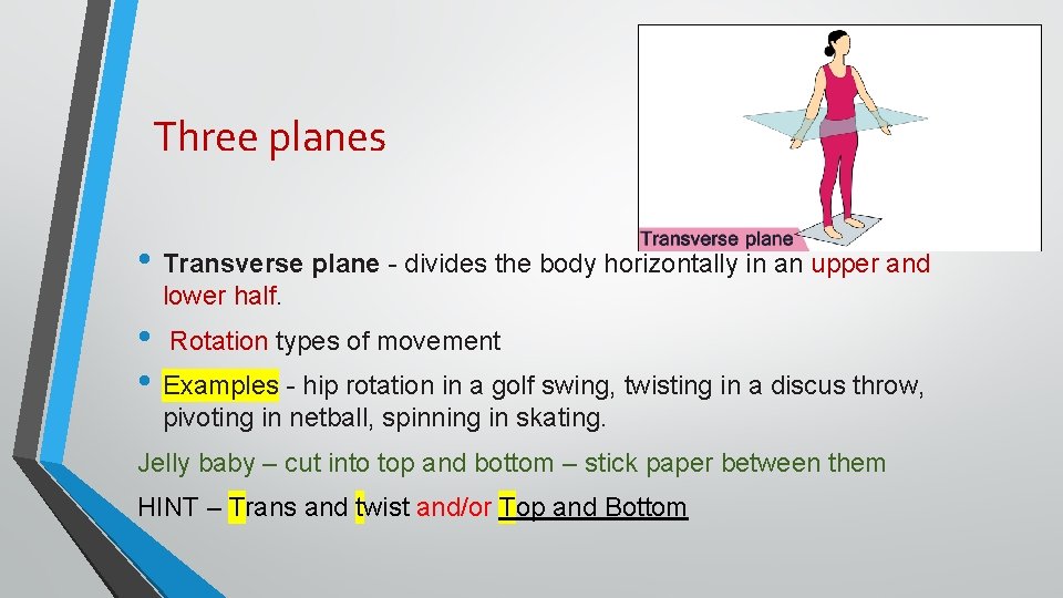 Three planes • Transverse plane - divides the body horizontally in an upper and