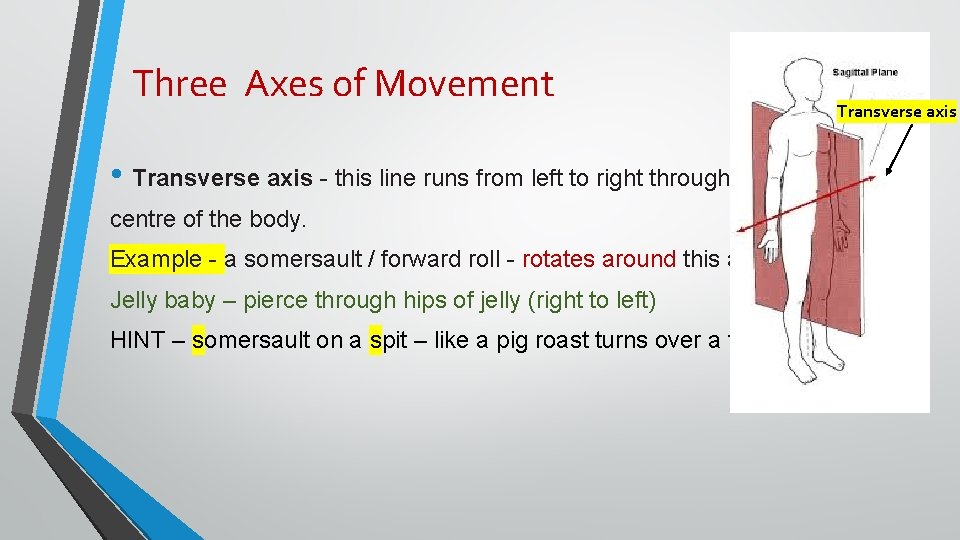 Three Axes of Movement • Transverse axis - this line runs from left to