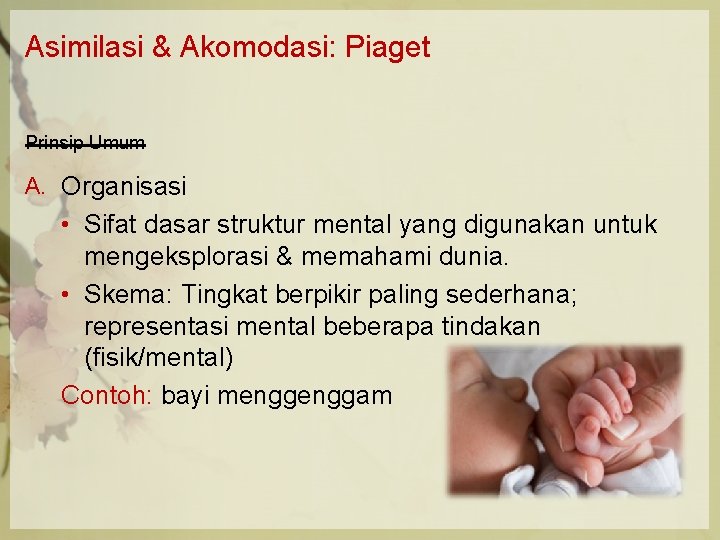 Asimilasi & Akomodasi: Piaget Prinsip Umum A. Organisasi • Sifat dasar struktur mental yang