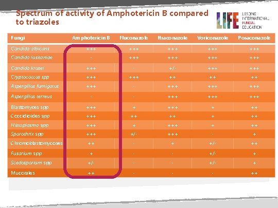 Spectrum of activity of Amphotericin B compared to triazoles Fungi Amphotericin B Fluconazole Itraconazole