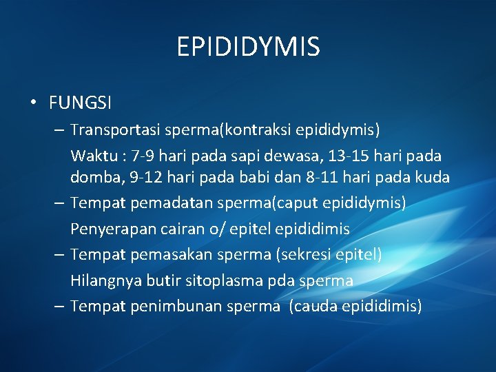 EPIDIDYMIS • FUNGSI – Transportasi sperma(kontraksi epididymis) Waktu : 7 -9 hari pada sapi